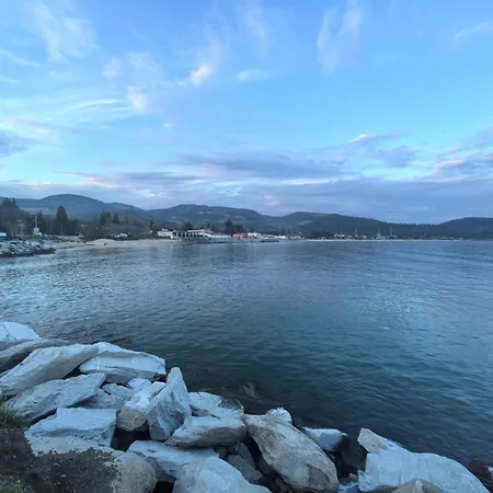 Artemis Sweet * Kavala